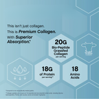VitaCell - Collagen Bio-Peptides